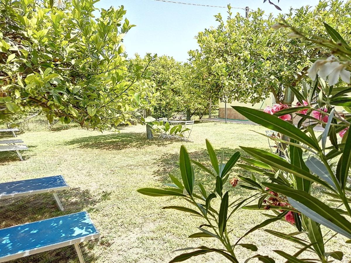 Villa Primofiore di Vendicari La Banca Esterno foto