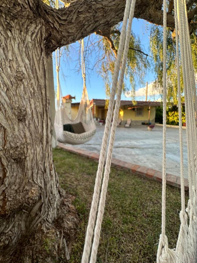 Villa Primofiore di Vendicari La Banca Esterno foto