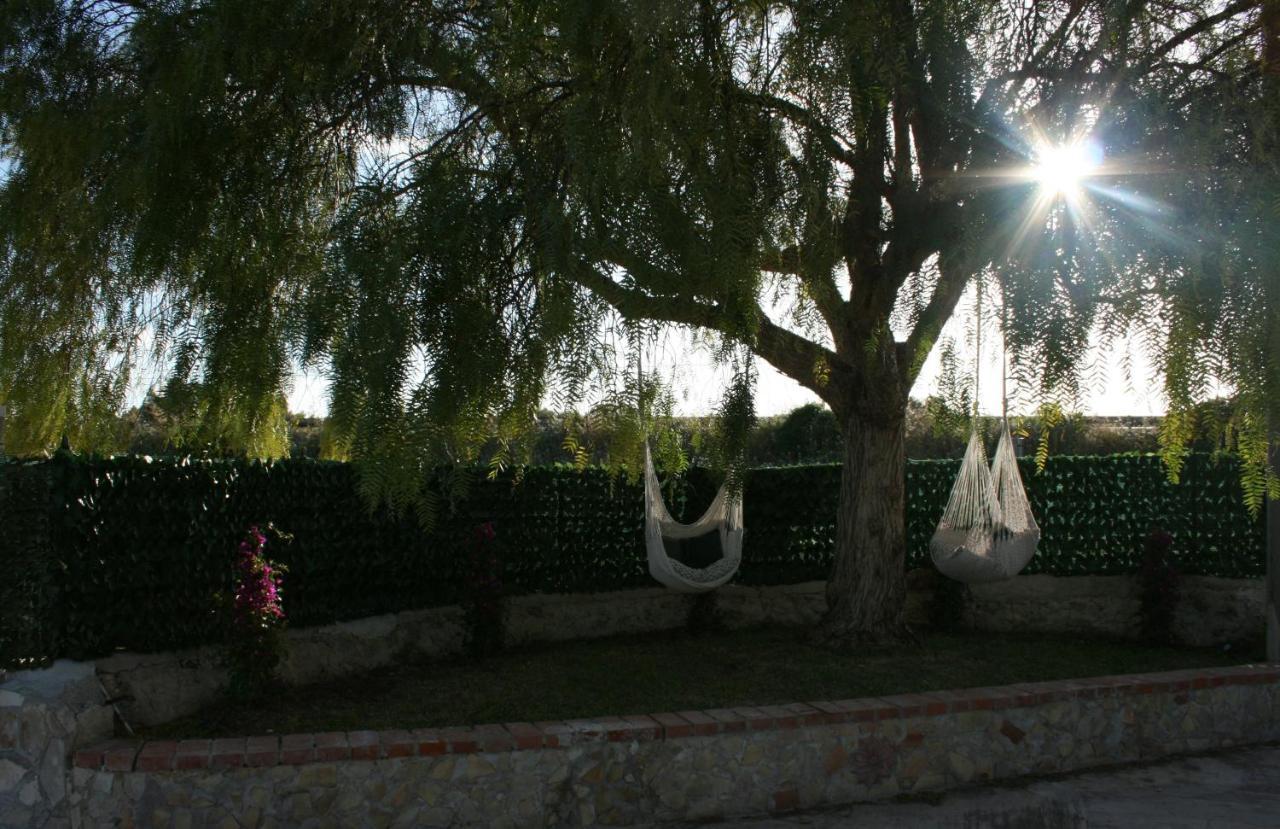 Villa Primofiore di Vendicari La Banca Esterno foto